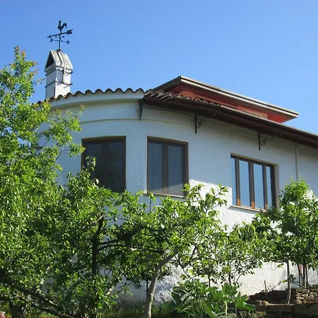 Le Palme * Синискола
