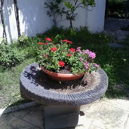 Le Palme